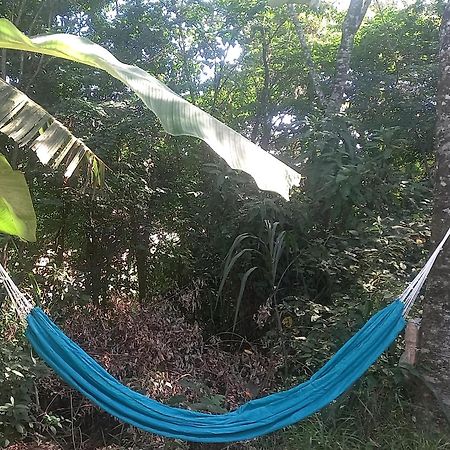 Casinha Acolhedora Da Mata - Rota Do Vinho Villa São Roque Eksteriør bilde