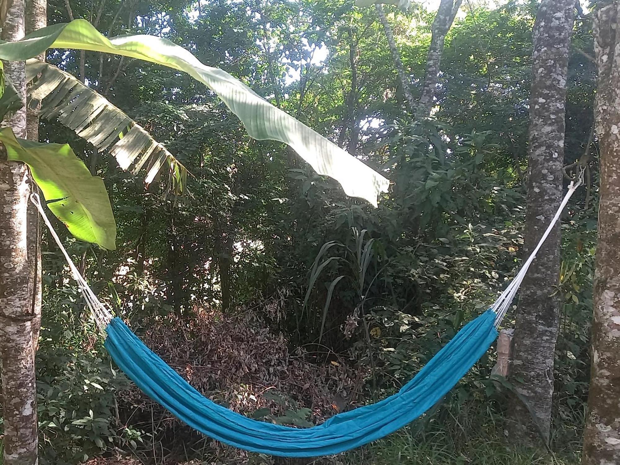 Casinha Acolhedora Da Mata - Rota Do Vinho Villa São Roque Eksteriør bilde